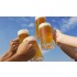 ESPECIAL DIA DA CERVEJA