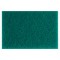 ESFREGAO NYLON 